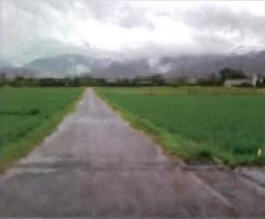 Effect on Agriculture