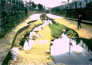 Water Treatment