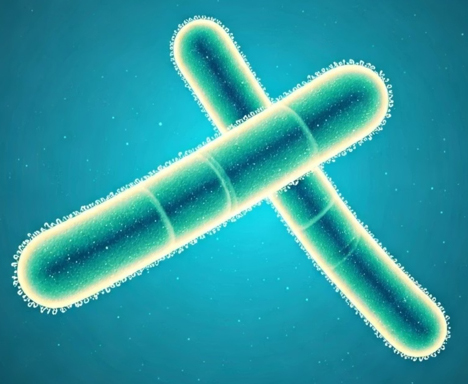 Microorganism research