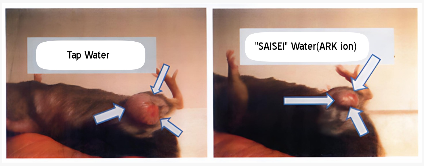 Tumor growth comparison