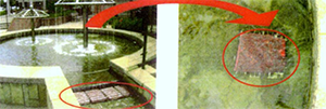 Disinfection Effect